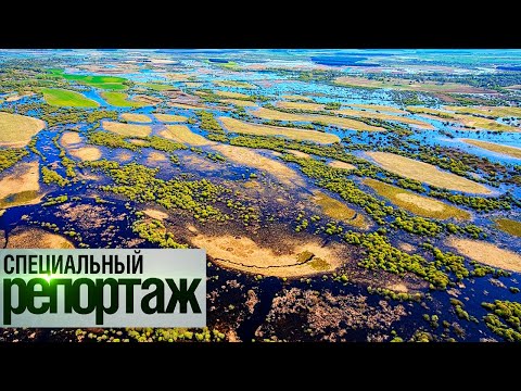 Видео: Море Геродота. Чудо в сердце Полесья || Специальный репортаж