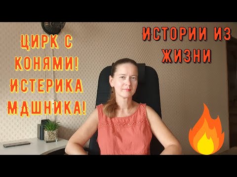 Видео: Истории из жизни. Про РСП, сайты знакомств. Цирк с конями! Истерика МДшника!