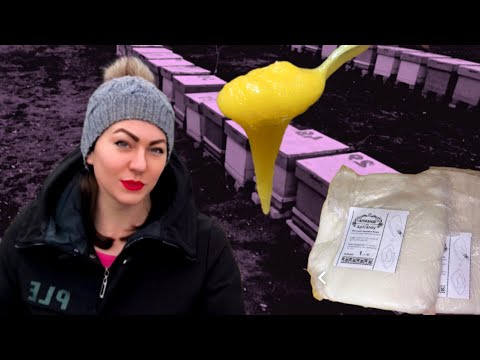 Видео: Щоб бджоли добре дозимували треба... Безконтактна підгодівля. Мед або канді що краще?