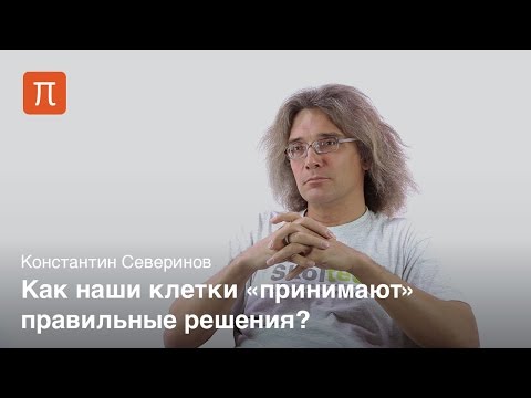 Видео: Передача биологических сигналов - Константин Северинов