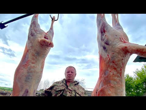 Видео: ЭТО ВАМ НЕ РЫБА. ДЫМЛЯМА ИЗ БАРАНА  рецепт мясо вкусно
