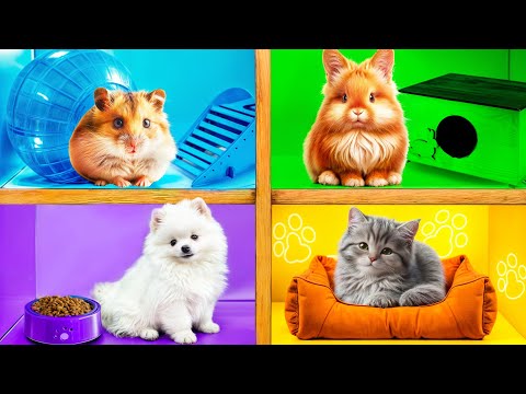 Видео: Строим Домики для Животных | Сумасшедший Челлендж от Crazy DO