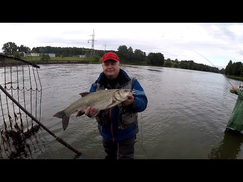 Видео: КЛЮЁТ ЛИ ЖЕРЕХ В НЕПОГОДУ ?