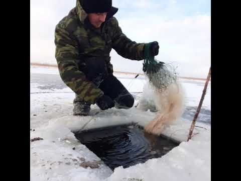 Видео: Установка сетей на Живца.