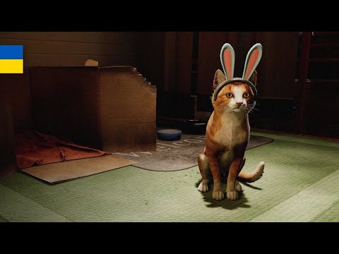 Видео: Працюю заради КОТИКА