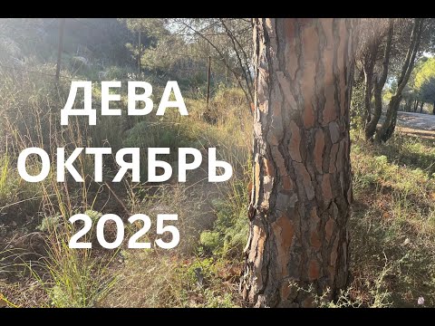 Видео: Дева, Октябрь 2025. Ваш творческий подход решает все!