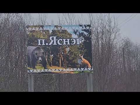 Видео: Яснэг Республика Коми. [Дорога в посёлок Ясног]. Сыктывкар-Ясног.