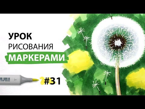 Видео: Как нарисовать одуванчик? / Урок по рисованию маркерами для новичков #31