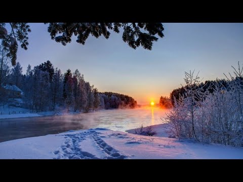 Видео: Что вяжу,все расскажу# Пришел Любимый Василек❤❤❤❤❤❤