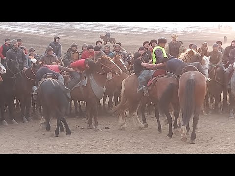 Видео: 👍Ээр эниш Карим Ажы кызытты  Ноокат Жаркоргон айыл