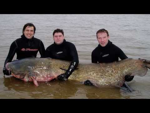 Видео: №14 Рыбацкое счастье Подводная охота Александр Кочубей