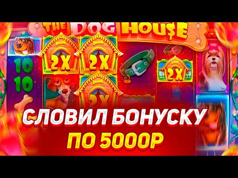 Видео: СЛОВИЛ БОНУС ПО 5000Р! УЛЬТРА ЗАНОС В THE DOG HOUSE MEGAWAYS! / ЗАНОСЫ НЕДЕЛИ