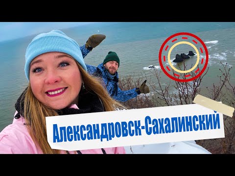 Видео: Александровск-Сахалинский. Древнейшие окаменелые моллюски и история каторги