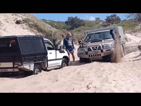 Видео: Ещё больше заболоченных мест на Саут-Рокс (Нгкала), Роки-Бич, остров Фрейзер. Воскресенье, 10.05....