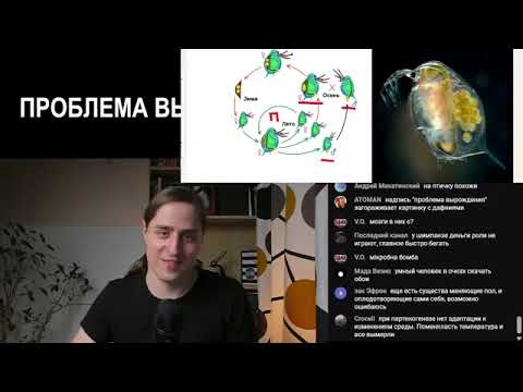 Видео: Преимущества и недостатки полового размножения | Владимир Алипов