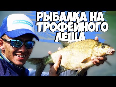 Видео: Рыбалка на ФИДЕР! Трофейные ЛЕЩИ рвут лески! Белорусская рыбалка на Соже!
