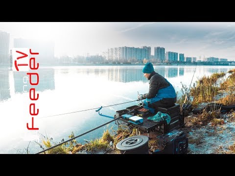 Видео: Рыбалка на фидер. Отборы в СБОРНУЮ по ФИДЕРУ. Рыбалка на Дунае. РЫБАЛКА ОСЕНЬ на фидер. Vlog #43