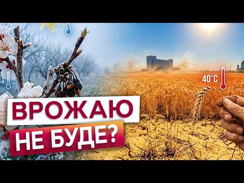 Видео: Арктичний холод замість тепла! Морози до кінця квітня ВИНИЩАТЬ українські сади? Врожаю не буде?