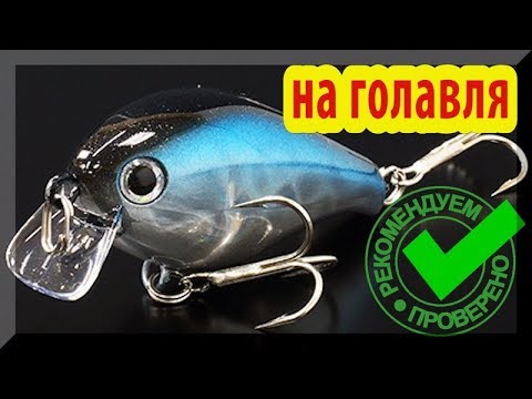 Видео: Lucky Craft Clutch SR как воблер для ловли ГОЛАВЛЯ. Достоинства и недостатки...