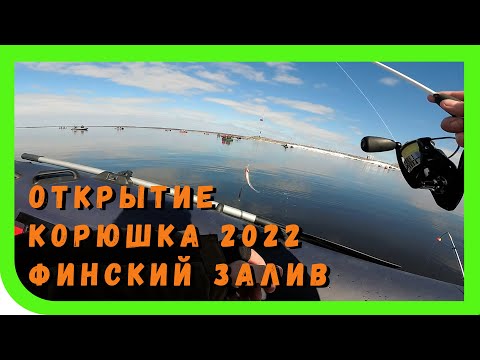 Видео: Корюшка 2022, Финский залив. Открытие сезона жидкой воды