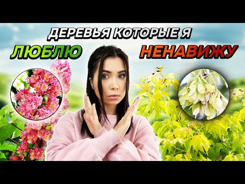 Видео: 💥🌳10 НЕПРИХОТЛИВЫХ ДЕРЕВЬЕВ для озеленения участка