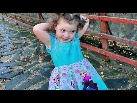 Видео: ТД”Кремиковци” в Северна Македония: София – Невестино - гр. Крива Паланка – Осоговския манастир