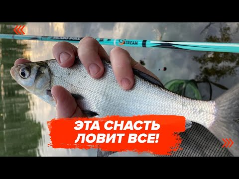 Видео: ПОПЛАВОК-САМАЯ  УНИВЕРСАЛЬНАЯ СНАСТЬ. ЭТА СНАСТЬ ЛОВИТ ВСЮ РЫБУ!