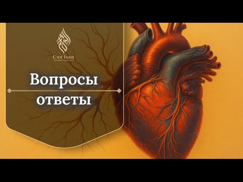 Видео: Ответы от сердца