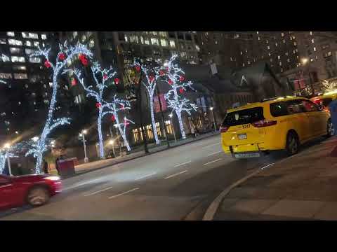 Видео: Главная елка Ванкувера 2023 -2024