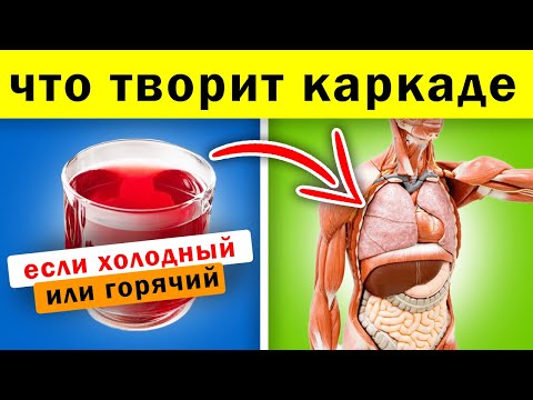 Видео: Реакция СЕРДЦА на КАРКАДЕ: давление, холестерин, старение организма и даже