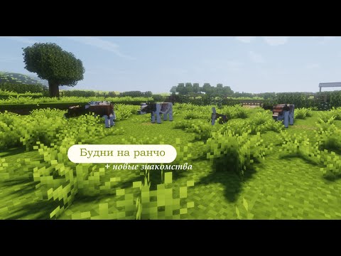 Видео: | Будни на ранчо в Майнкрафт/Minecraft | Рождение ягнят! 🐑