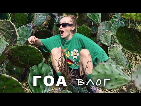 Видео: Влог Индия:часть 5 Гоа