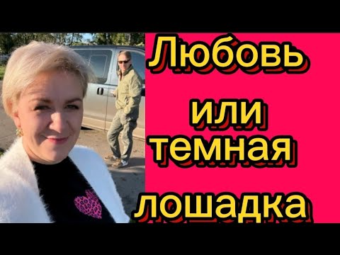 Видео: Темная лошадка... #деревенскийдневникоченьмногодетноймамы#побируха#поберуха#