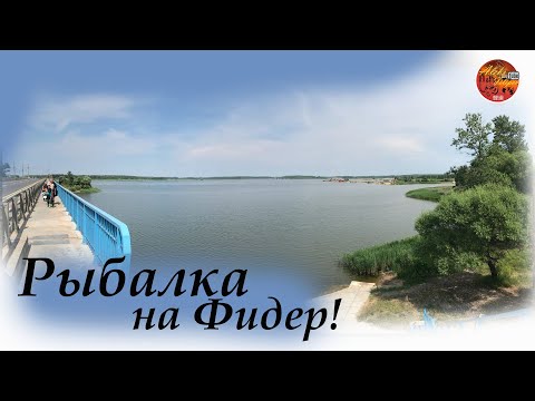 Видео: Шоша, Волга, Иваньковское водохранилище, Фидер!! Рыбалка в Тверской области