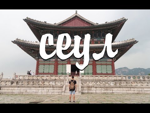 Видео: СЕУЛ: меня не пустили в США и корейцы едят собак?