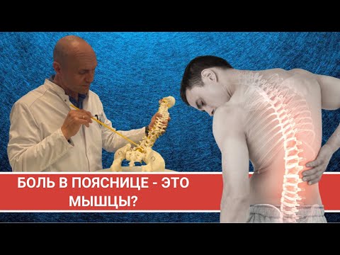 Видео: МИФ: У МЕНЯ БОЛИТ ПОЯСНИЦА - ЗНАЧИТ БОЛЯТ МЫШЦЫ