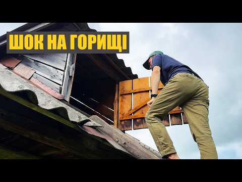 Видео: Купив стару хату в селі – знахідка на горищі шокувала!