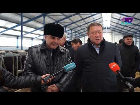 Видео: 31.10.22. Самую большую молочную ферму в СКО запустили в районе им. Г.Мусрепова
