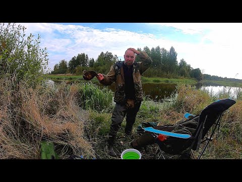 Видео: Рыбалка с ночёвкой!!! Пытаюсь поймать какую нибудь рыбу, пришёл зверь!!!