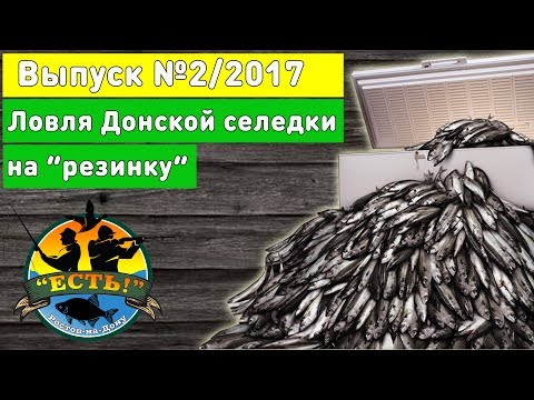 Видео: Рыбалка 2017 Ловля селедки на Дону