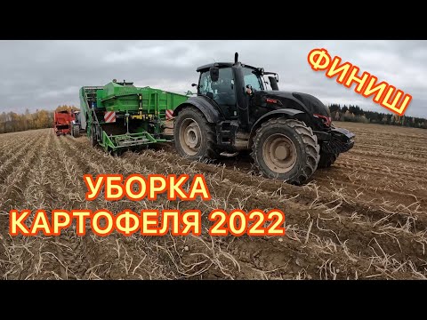 Видео: Уборка картофеля 2022 в Сандовском районе / Поздний сбор урожая / Сорт Балтик Роуз / GRIMME / КОЛНАГ