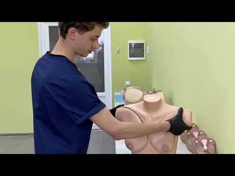 Видео: Огляд молочних залоз