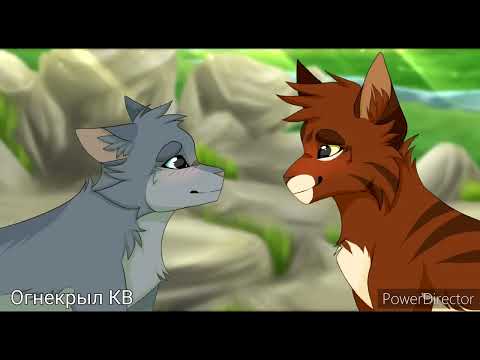 Видео: {Коты-Воители}||▪︎□Желудь и Синегривка/Грач и Листвичка/Крутобок и Серебрянка□▪︎||[Расставание]