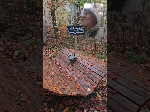 Видео: все по плану | обещание | адрес в комментариях