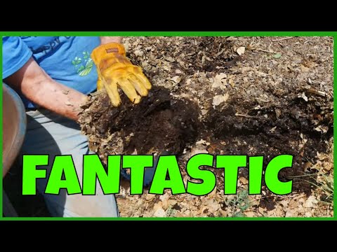 Видео: Листовой перегной — как его собирать и использовать