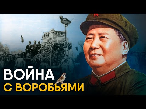 Видео: Китай против воробьев - самый страшный голод XX века.