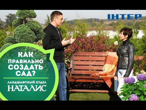 Видео: Создание сада с нуля, ландшафтный дизайн в английском стиле, НАТАЛИС, Любовь Бегма