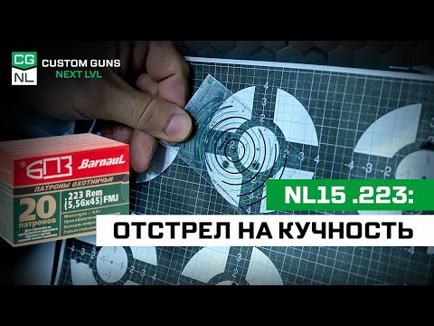 Видео: Винтовка NL15 в калибре .223: стреляем на кучность БПЗ 4г