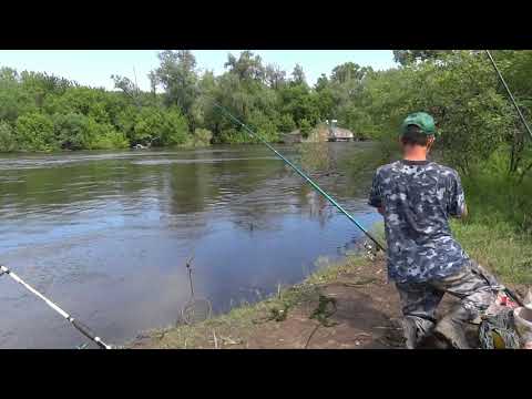 Видео: СУХОРАБОВКА -потоп,  2018. Река Псёл. Вы больше никогда не увидите такое. Раз в 50 лет.