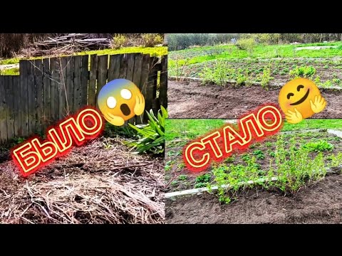 Видео: Из ужаса в красоту! Преображение участка!